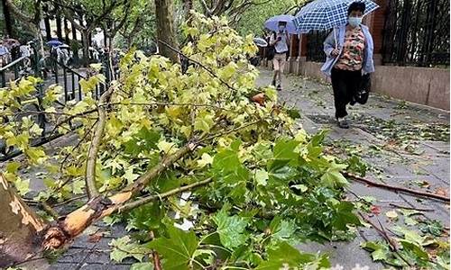 上海天气台风警报_上海天气预报台风预报